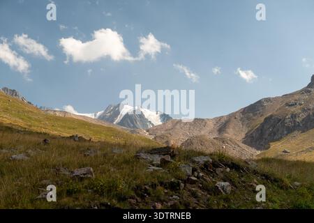 Paesaggio montano mozzafiato con cime innevate e lussureggianti valli verdi sotto un cielo azzurro Foto Stock
