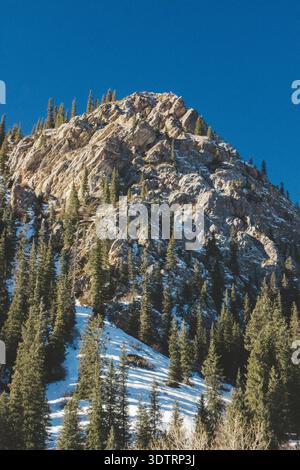 Maestoso paesaggio delle Montagne Rocciose con alberi di pino e terreno innevato sotto un cielo azzurro Foto Stock
