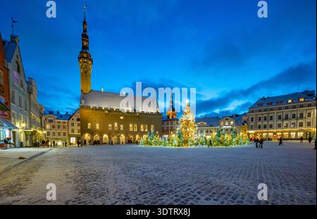 La piazza principale nella città vecchia di Tallinn, Estonia. Con alberi di Natale illuminati al tramonto Foto Stock