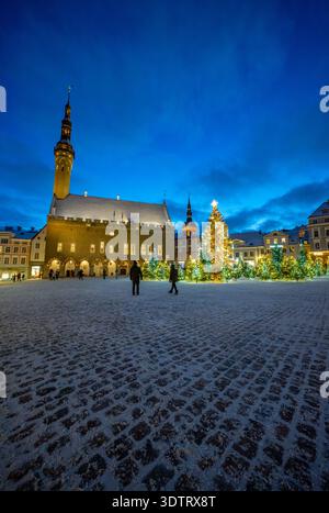 La piazza principale nella città vecchia di Tallinn, Estonia. Con alberi di Natale illuminati al tramonto Foto Stock