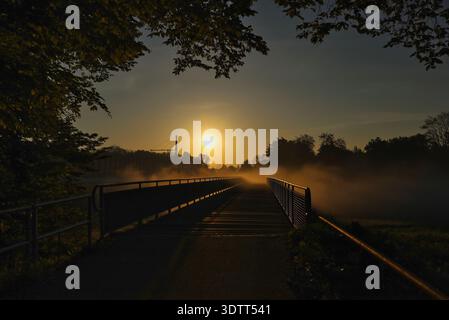 Mistica alba dorata con nebbia pesante sul ponte Heuweg nella foresta fluviale di Lipsia, Sassonia, Germania Foto Stock