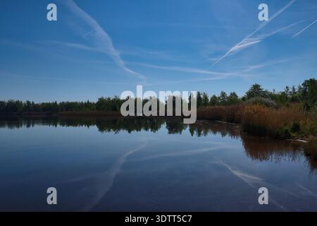 Mistica alba dorata con nebbia pesante sul ponte Heuweg nella foresta fluviale di Lipsia, Sassonia, Germania Foto Stock