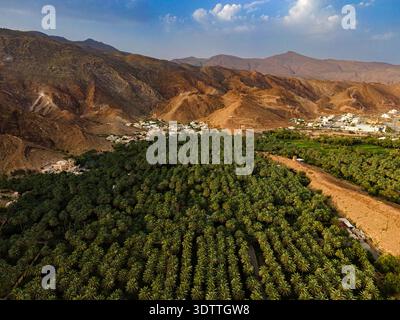 Vista aerea di lussureggianti oasi di palme da dattero in contrasto con le aride e aspre montagne sotto un cielo blu brillante, Birkat al Mawz, ad Dakhiliyah Governora Foto Stock