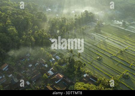 Vista aerea delle travi di sole che penetrano attraverso la nebbia su lussureggianti risaie e tetti tradizionali, Karangasem, Bali, Indonesia. Foto Stock
