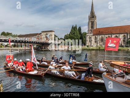 Il Royal Swan sale sul Tamigi al Marlow Bridge Foto Stock