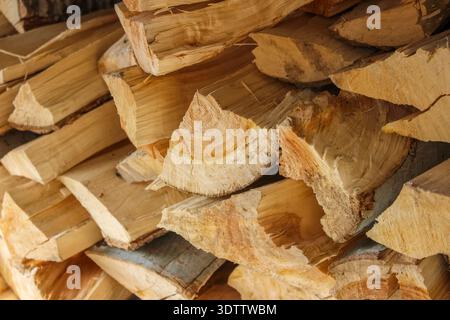 Una pila di pioppo appena tritato, pronta per un accogliente caminetto. Il legno di colore chiaro mostra motivi e anelli a grana naturale. Foto Stock