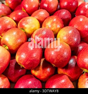 Mele rosse e rosa di alta qualità in primo piano esposte per la vendita al pubblico. Foto Stock