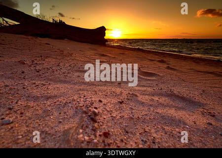 Un'accattivante fotografia a basso angolo di una spiaggia sabbiosa al tramonto, che mostra un grande pezzo di legno scuro o un tronco di albero caduto che riposa sulla riva. Foto Stock