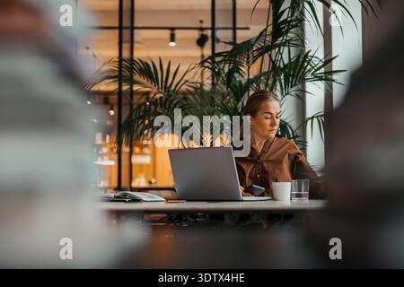 Donna d'affari matura che lavora seduto alla scrivania in un ufficio moderno Foto Stock
