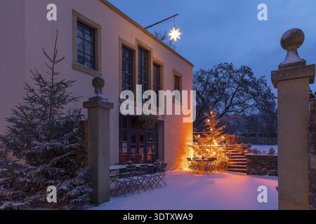 Albero di Natale illuminato e Herrnhut star sulla neve presso l'azienda vinicola Aust di Radebeul, Sassonia, Germania Foto Stock