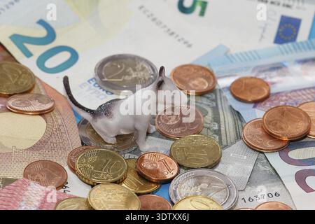 Figura in miniatura di Bull terrier seduta su monete in euro circondate da banconote su sfondo blu, Renania settentrionale-Vestfalia, Germania Foto Stock
