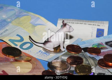 Figura in miniatura di Bull terrier seduta su monete in euro circondate da banconote su sfondo blu, Renania settentrionale-Vestfalia, Germania Foto Stock