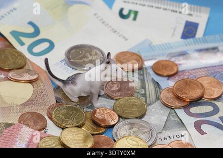Figura in miniatura di Bull terrier seduta su monete in euro circondate da banconote su sfondo blu, Renania settentrionale-Vestfalia, Germania Foto Stock