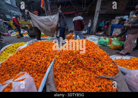 Calendule arancioni e gialle ammassate al mercato dei fiori all'ingrosso di Chandni Chowk nella vecchia Delhi. Molti uomini sono impegnati a lavorare con borse grandi. Foto Stock