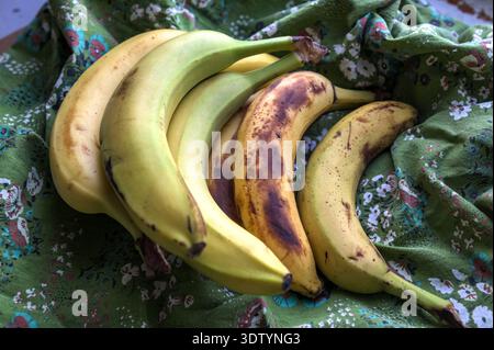 Mazzo di banane fresche su un tavolo alla luce del sole. Mazzo giallo di banane su un tavolo di legno. Un mazzo di banane con una banana a fette posta su un tavolo Foto Stock