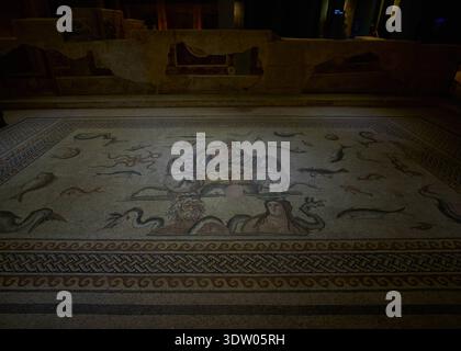 Turkiye. Istanbul. Turkiye centro-sud. Gaziantep. Informalmente chiamato Antep. Zeugma Mosiac Museum. Mosaico di Poseidone. Costruito tra il 2°. e 3rd Secolo d.C. scoperto nell'antica città di Zeugma, villa di Poseidon. Rete Teik Ow/HBL. Foto Stock