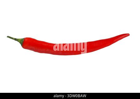 Red hot chili pepper isolati su sfondo bianco Foto Stock