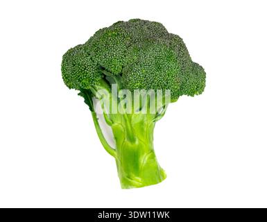 Broccoli verdi freschi testa isolata su sfondo bianco, ingrediente vegetale sano. Foto di alta qualità Foto Stock