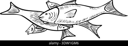 Illustrazione vettoriale del pesce in stile incisione. Salmone disegnato a mano come animale acquatico dipinto da inchiostri neri su sfondo isolato. Disegno lineare di pesce per ricettario o menu. Arte del cibo. Illustrazione Vettoriale