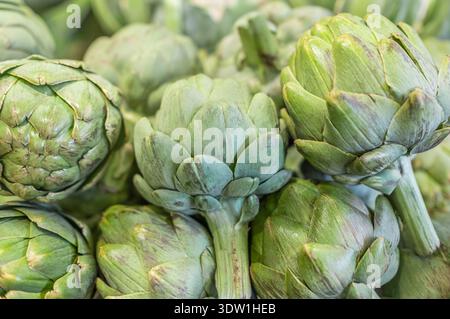 Carciofi verdi maturi. Una pila di carciofi verdi biologici freschi sul bancone del mercato. Bocciolo commestibile fiore di carciofo. Nessuno, concentrazione selettiva Foto Stock