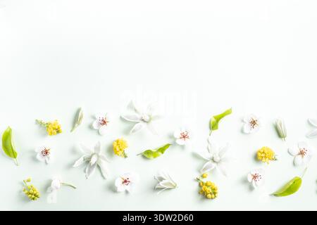 Bordo floreale di diversi fiori primaverili su sfondo bianco. Disposizione piatta, vista dall'alto, spazio di copia. Splendido motivo floreale in colori pastello. Foto Stock