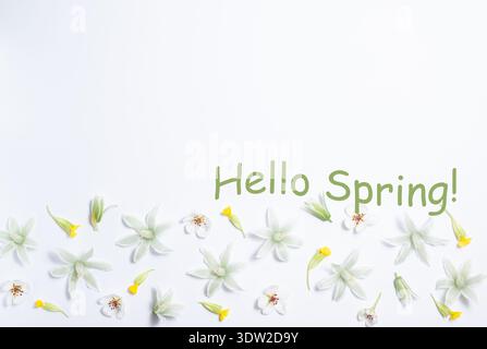 Text Hello Spring. Bordo floreale dei fiori primaverili su sfondo bianco. Disposizione piatta, vista dall'alto, spazio di copia. Splendido motivo floreale in colori pastello. Foto Stock