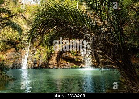 Una cascata serena si tuffa in una tranquilla piscina, circondata da una vegetazione lussureggiante. Foto Stock
