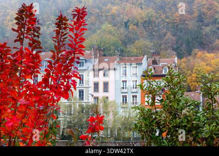 Il vivace fogliame autunnale incornicia una pittoresca fila di case cittadine. Foto Stock