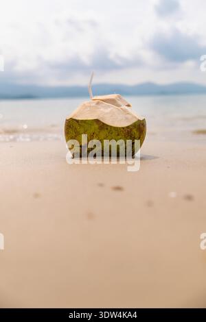 Fresco cocco verde con paglia sulla spiaggia di sabbia, mare calmo e montagne lontane, scenario di vacanza tropicale Foto Stock