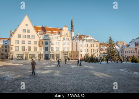Piazza del Municipio di Tallinn, capitale dell'Estonia, in inverno con neve e albero di Natale Foto Stock