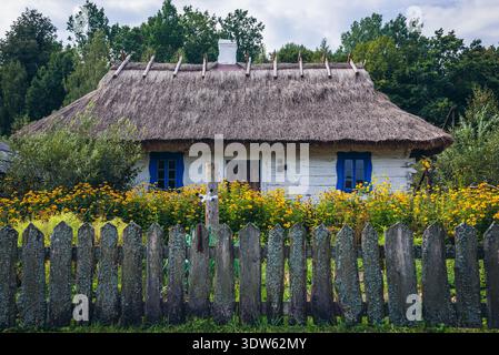 Casa in legno con tetto di paglia in Bialowieskie Siolo inn di Budy village, Voivodato Podlaskie in Polonia Foto Stock
