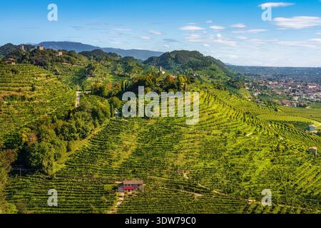 Paesaggio aereo dei vigneti di Prosecco a Farra di Soligo. Vista della chiesa di San Lorenzo e delle torri di Credazzo sulle colline verdi, Treviso, Italia Foto Stock