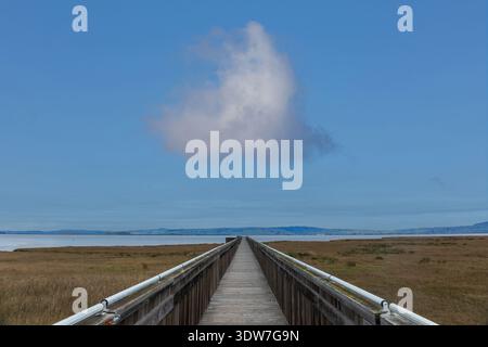 Una lunga passerella di legno si estende dritta attraverso una palude verso acque calme e basse colline lontane sotto un ampio cielo blu, con un'unica nuvola soffice f Foto Stock
