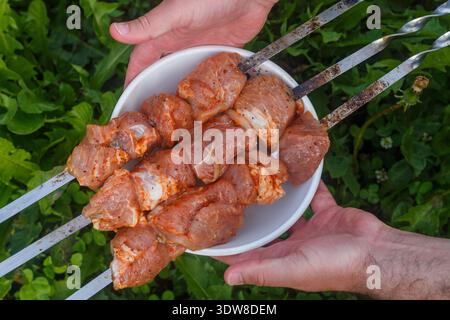 Carne cruda fresca con spezie in marinata su spiedini per cucinare Foto Stock
