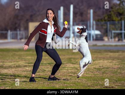 Una donna sorridente e felice lancia una palla da tennis al suo cane tricolore eccitato, che salta in alto in un parco all'aperto. Foto Stock