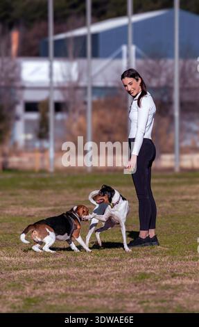 Mettiti in piedi in un campo erboso sorridendo mentre due cani giocano e interagiscono all'aperto in una giornata di sole Foto Stock
