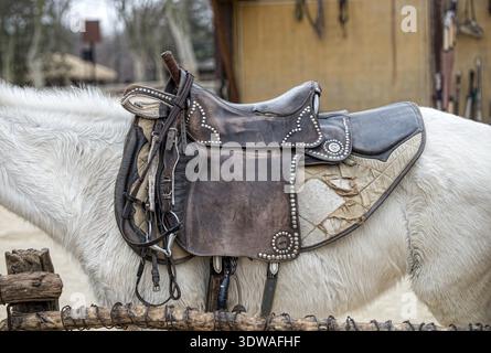 Sella con staffe sul dorso di un cavallo Foto Stock