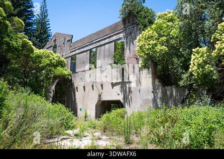 Derelict Cold Store and Meat Frozen Works, Tokomaru Bay, East Cape, North Island, nuova Zelanda Foto Stock