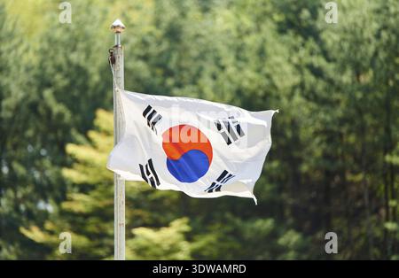 La bandiera coreana sventola nella foresta Foto Stock