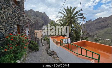 Case tradizionali in pietra e palme nel villaggio di montagna Foto Stock