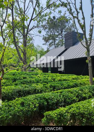 Un contemporaneo edificio residenziale nero minimalista integrato in una lussureggiante piantagione di tè verde sotto un cielo nuvoloso. Foto Stock