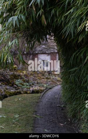 Percorso curvo del giardino incorniciato da foglie di bambù Foto Stock