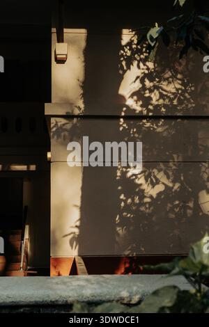 La luce del sole dell'ora d'oro proietta intricate ombre di foglie dai rami degli alberi sospesi attraverso una parete in stucco beige, con moderne lampade e gradini piastrellati Foto Stock