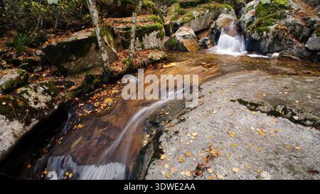 Un tranquillo scenario autunnale nel Parco Nazionale di Guadarrama caratterizzato da un dolce ruscello che scorre sulle rocce, circondato da vibranti fogliame autunnale in un ambiente tranquillo Foto Stock