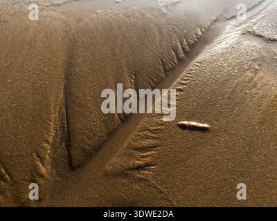 Primo piano di intricati motivi di sabbia su una tranquilla spiaggia di Panama, che mostra l'arte naturale creata dal movimento dell'acqua e rivela la bellezza Foto Stock