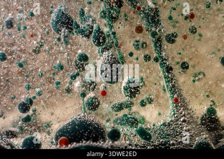 Una composizione artistica originale con bolle colorate sospese in liquido. Le tonalità vivaci e le formazioni uniche creano un intrigante e dinam Foto Stock