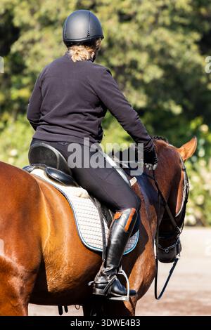 Un cavaliere in abito nero è seduto su un cavallo marrone, adornato con equipaggiamento da equitazione nero e una stoffa bianca, in un ambiente tranquillo all'aperto con lussureggiante Foto Stock