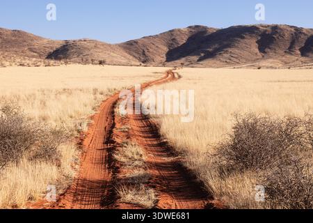 Un'aspra strada rossa sterrata si snoda attraverso la vasta savana africana della Namibia, delimitata da erbe dorate e colline lontane sotto un cielo blu limpido, ca Foto Stock