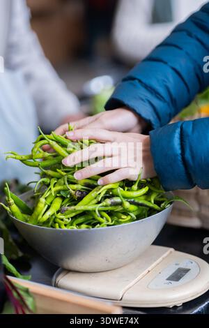 Primo piano di peperoni verdi freschi pesati in un mercato sostenibile. Questa vivace scena enfatizza lo shopping ecologico e i prodotti biologici in un ambiente accogliente Foto Stock
