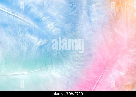 Uno sfondo di piume sereno e delicato caratterizzato da delicati colori pastello di blu, rosa e pesca, che creano un'esperienza visiva delicata e rilassante perfetta Foto Stock